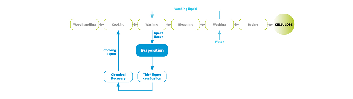 The sulfite process