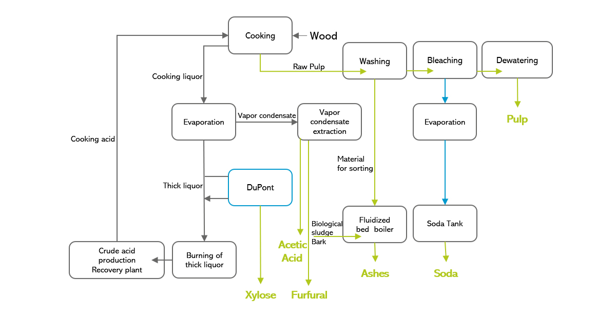 Biorefinery process of the Lenzing Group