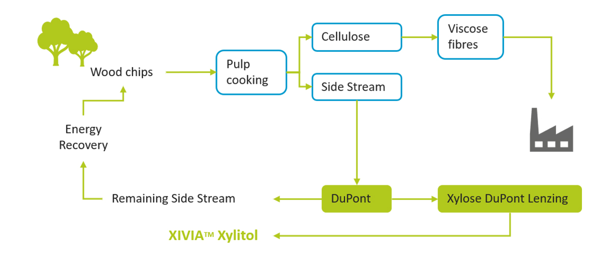 The production process of xylose of DuPont in Lenzing‘s pulp mill.