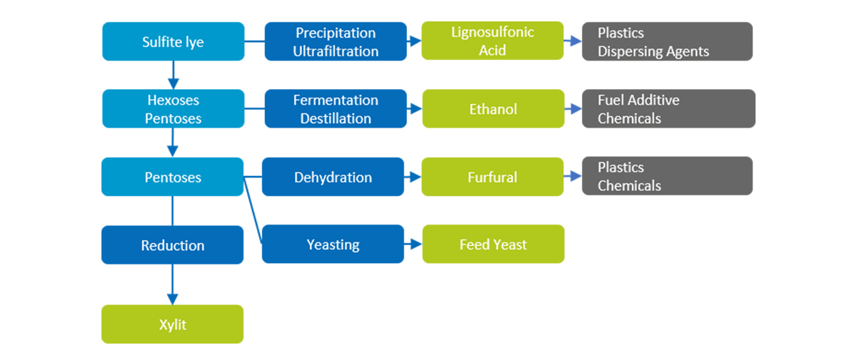 Possible products out of sulfite liquor.