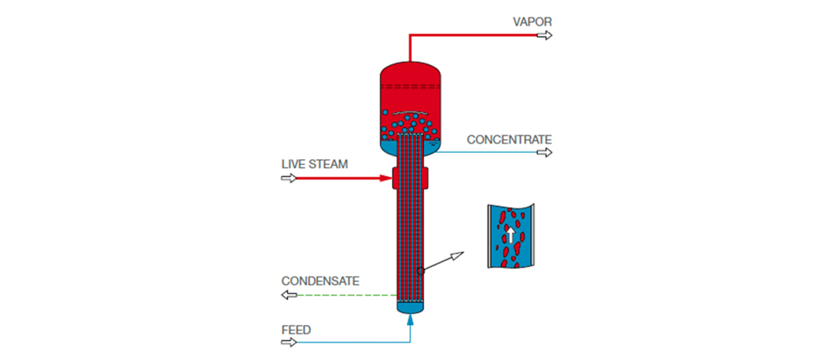 Functional principle of rising film evaporators