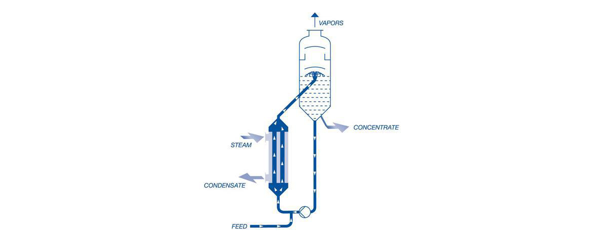 Functional principle of forced circulation evaporators