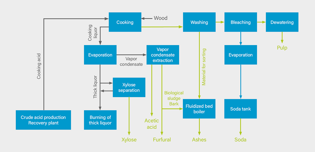 Recovery of by-products in the pulp industry (exemplary scheme).
