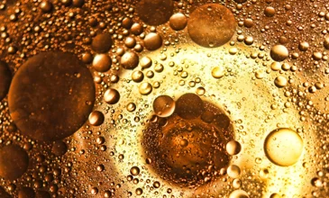 The three biggest problems in biodiesel distillation