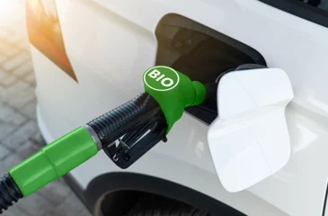 The Role of Biodiesel in the Context of a Sustainable Energy Supply